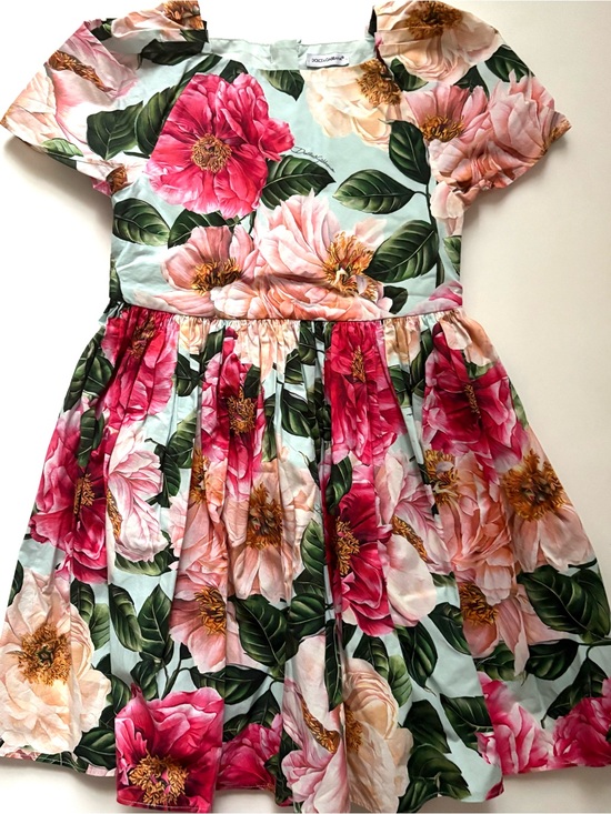 Dolce & Gabbana Other - Dolce & Gabbana Pink, Cream & Green Floral Party Dress